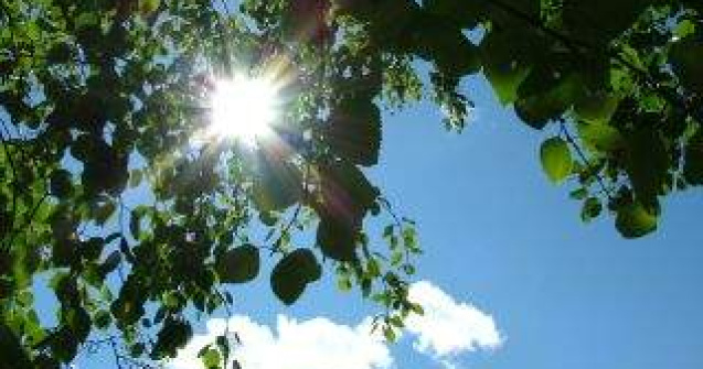 Capitala si 21 de judete, sub cod galben de CANICULA. Harta zonelor afectate