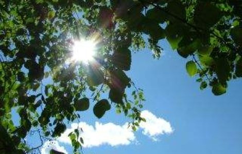 Capitala si 21 de judete, sub cod galben de CANICULA. Harta zonelor afectate