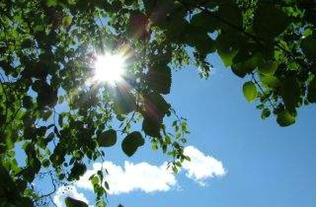 Capitala si 21 de judete, sub cod galben de CANICULA. Harta zonelor afectate