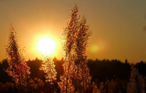COD PORTOCALIU de canicula in 3 judete, COD GALBEN in alte 16. Care sunt zonele vizate