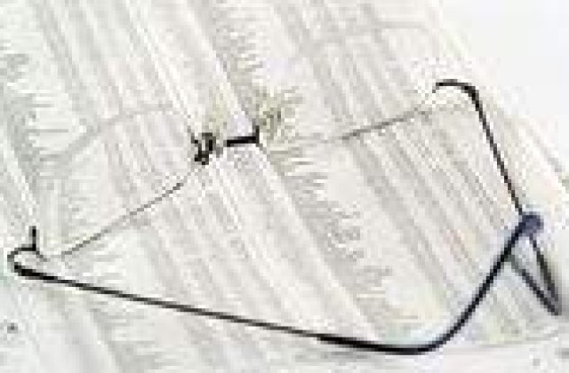 PIB-ul Romaniei va creste cu 6,1% in 2008