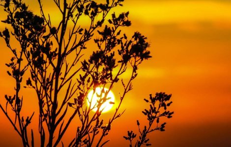 Vaslui: Trei frati, gasiti abandonati pe camp, la 35 de grade