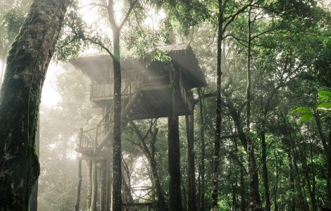  Top  Unice in lume! Cele mai IMPRESIONANTE case in copac