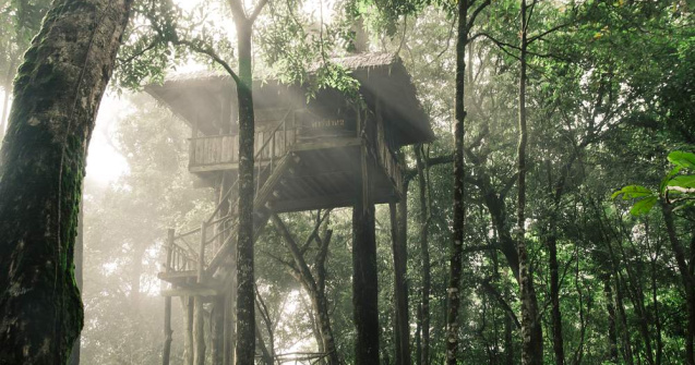  Top  Unice in lume! Cele mai IMPRESIONANTE case in copac