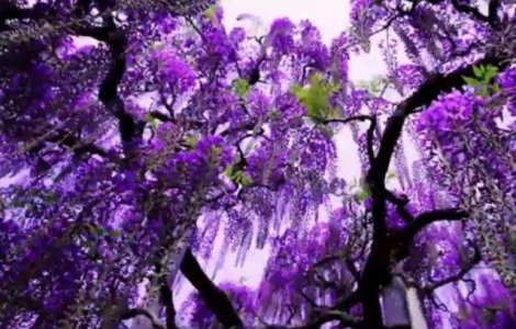  Top  Frumusete ireala a naturii! Locuri INCREDIBILE care te vor fermeca