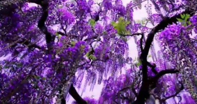  Top  Frumusete ireala a naturii! Locuri INCREDIBILE care te vor fermeca