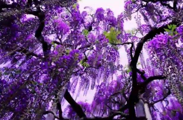 Frumusete ireala a naturii! Locuri INCREDIBILE care te vor fermeca