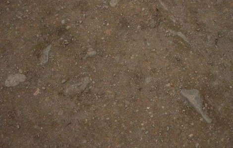 Studiu: Un nou tip de virus URIAS, descoperit in solul inghetat al Siberiei