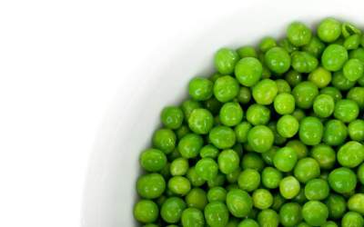 Comoara nepretuita din camara...