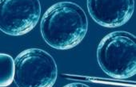 Maxilar superior crescut in abdomen