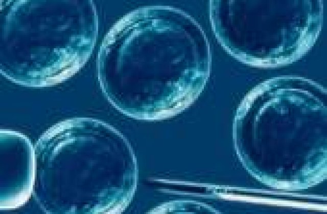 Maxilar superior crescut in abdomen