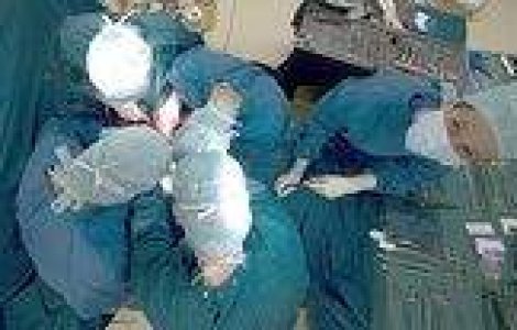 Francezi ucisi cu hormoni adusi din Romania