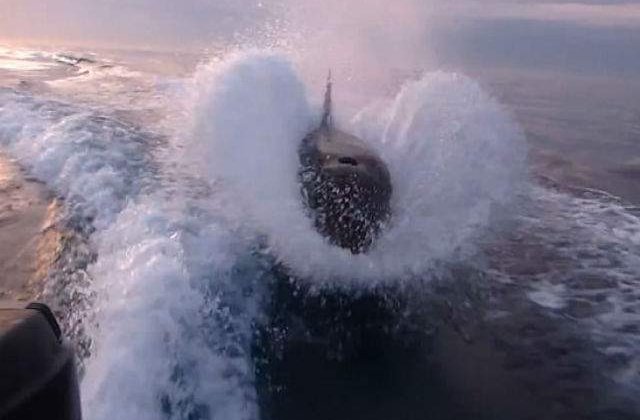 [VIDEO] Momente terifiante: 30 de balene ucigase urmaresc o barca de pescuit