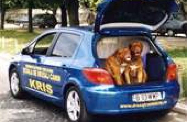 Taxiuri pentru animale