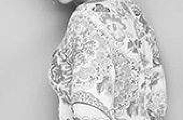 Stoiceasca a recunoscut relatia cu colegul de la IT