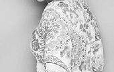 Stoiceasca a recunoscut relatia cu colegul de la IT