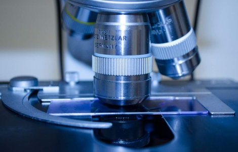 Atentionare MAE: Epidemie de febra Dengue in India