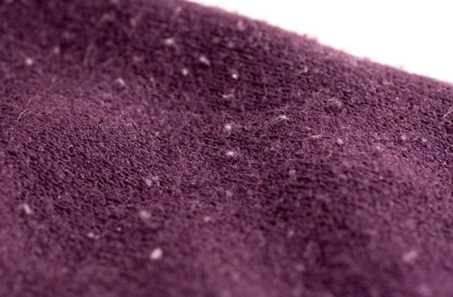 Cele mai SIMPLE metode de a scapa de scame