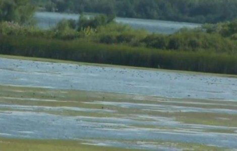 Parcul Natural Portile de Fier poate deveni a doua rezervatie a biosferei