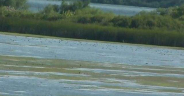 Parcul Natural Portile de Fier poate deveni a doua rezervatie a biosferei