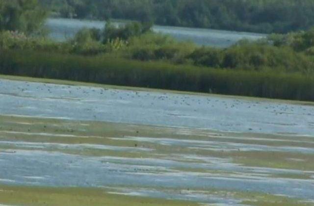 Parcul Natural Portile de Fier poate deveni a doua rezervatie a biosferei