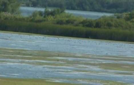Parcul Natural Portile de Fier poate deveni a doua rezervatie a biosferei