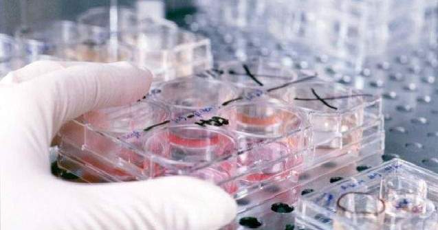 Un celebru scriitor maghiar contemporan, diagnosticat cu cancer