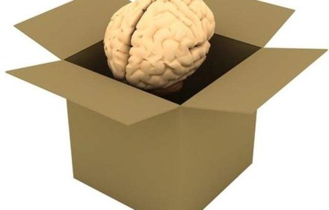  Top  Te fac mai inteligent! Hobby-uri care ajuta in stimularea functionarii rapide a creierului