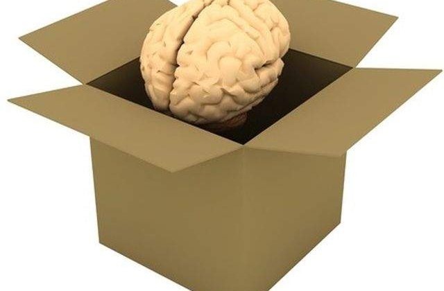 Te fac mai inteligent! Hobby-uri care ajuta in stimularea functionarii rapide a creierului