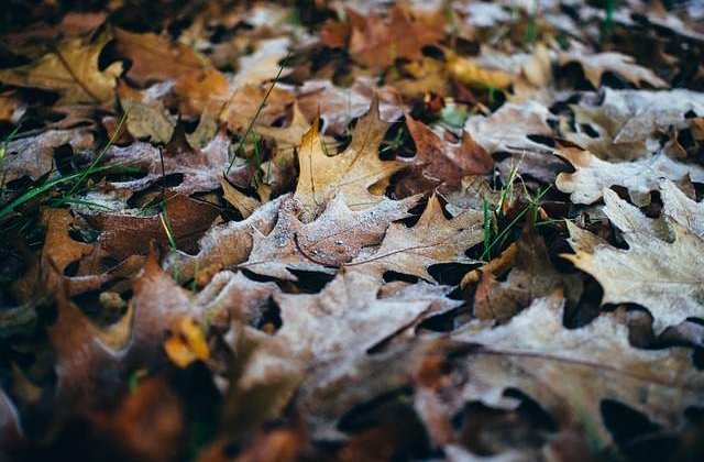 Vremea se strica. Ce temperaturi ne asteapta in urmatoarele zile