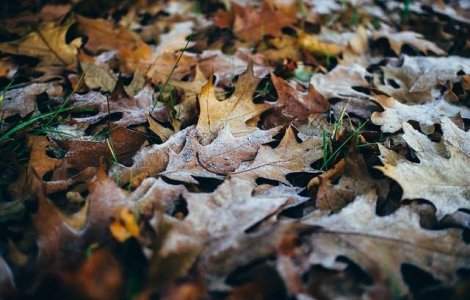  Top  Vremea se strica. Ce temperaturi ne asteapta in urmatoarele zile