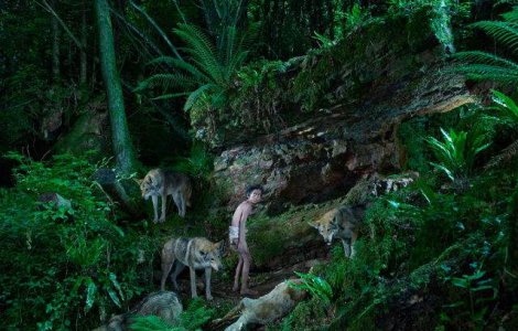  Top  Povesti din salbaticie: Cazuri socante de copii crescuti de animale