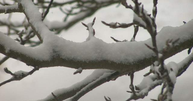 COD PORTOCALIU de ninsoare si viscol in Suceava si Neamt. COD GALBEN de ploi in aproape toata tara