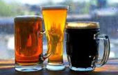 Legea berii in Parlament