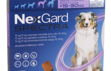Merial lanseaza NexGard Spectra si FRONTLINE TRI-ACT in Romania