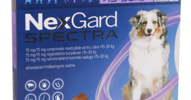 Merial lanseaza NexGard Spectra si FRONTLINE TRI-ACT in Romania