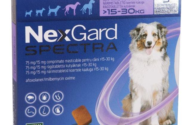 Merial lanseaza NexGard Spectra si FRONTLINE TRI-ACT in Romania