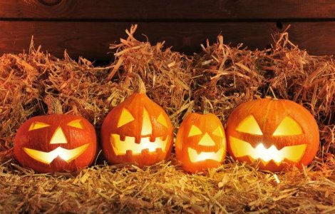 Inspiratie pentru Halloween: cele mai spectaculoase modele de dovleci