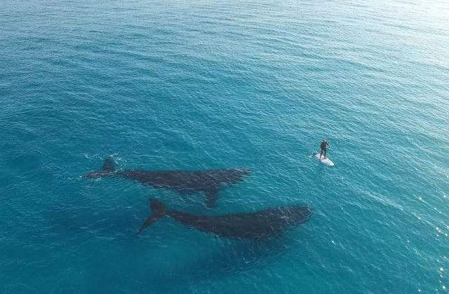 [VIDEO] Clipul care a facut inconjurul lumii. Ce a surprins barbatul