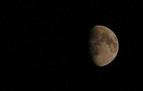  Video  Record Guinness: 464 de persoane au urlat la Luna timp de un minut