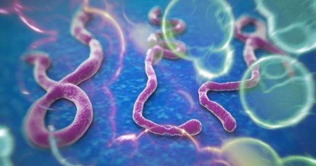 Virusul Ebola poate rezista in organism mai mult decat s-a preconizat