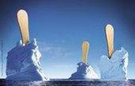 Cat CO2 produce un om intr-un an?