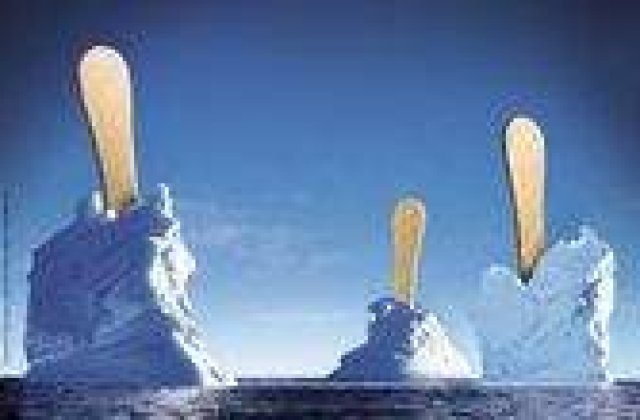 Cat CO2 produce un om intr-un an?