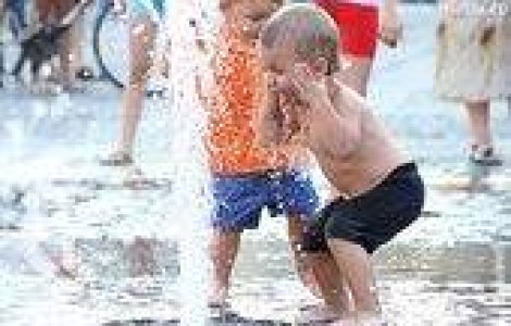 Canicula vine si in 2008