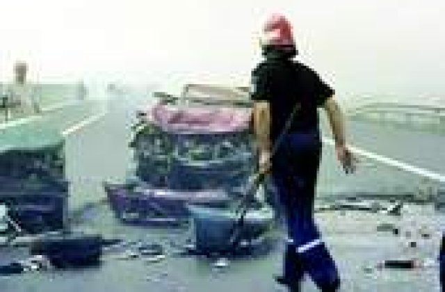 Fiul vitreg al Elenei Udrea a ucis doua persoane