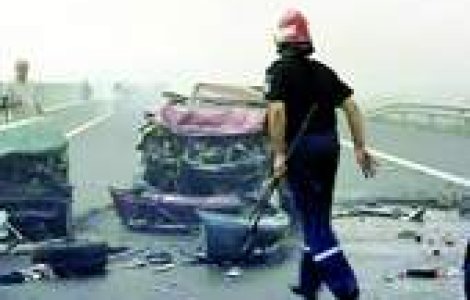 Fiul vitreg al Elenei Udrea a ucis doua persoane