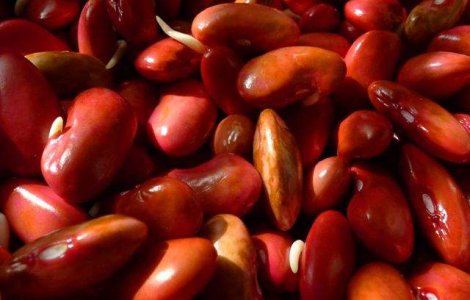  Top  Tu cat de des le consumi? Alimentele care iti ataca rinichii