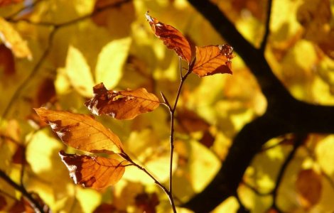 Prognoza meteo: Vremea se mentine calda la inceputul saptamanii