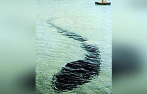  Top  Invaluite in mister! Aparitii ENIGMATICE care nu pot fi explicate