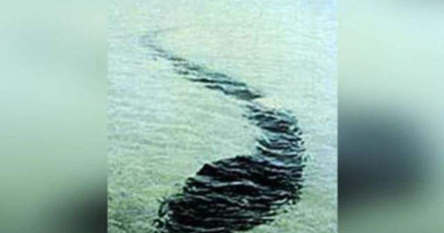  Top  Invaluite in mister! Aparitii ENIGMATICE care nu pot fi explicate